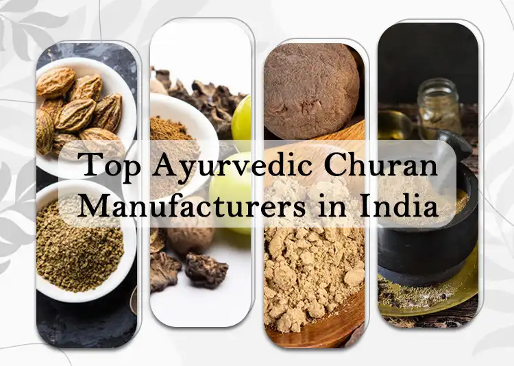 5 Top Ayurvedic Churan Manufacturers in India 2024