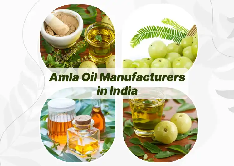 5 Amla Oil Manufacturers in India 2024