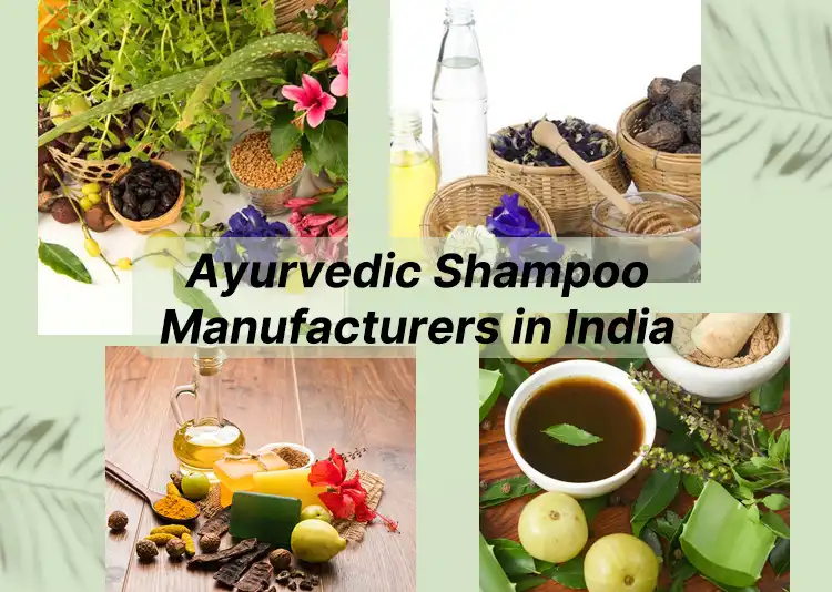 4+ Ayurvedic Shampoo Manufacturers in India 2024