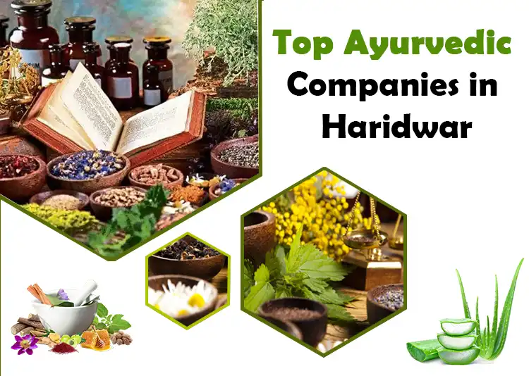 5 Top Ayurvedic Companies in Haridwar 2024