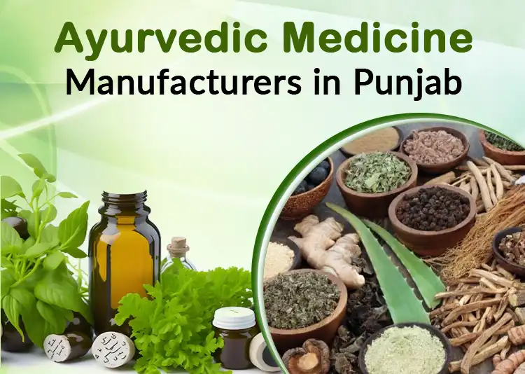 6+ Ayurvedic Medicine Manufacturers in Punjab 2024