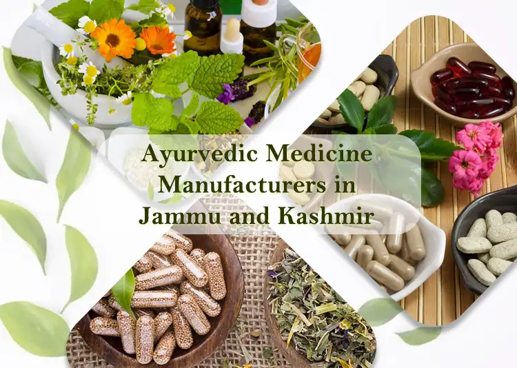 5 Ayurvedic Medicine Manufacturers in Jammu and Kashmir 2024