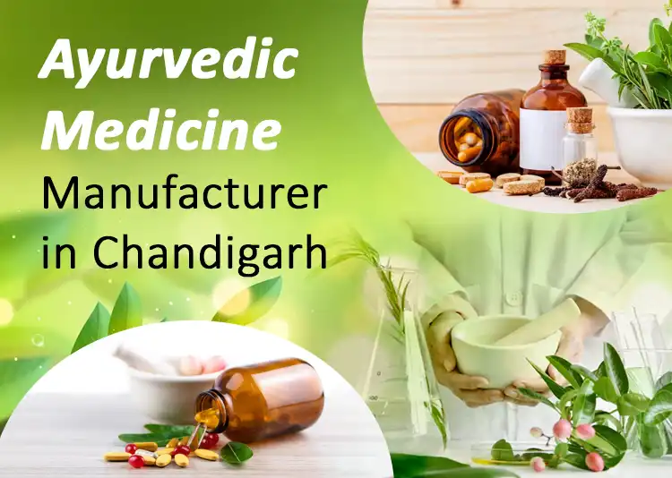 6+ Ayurvedic Medicine Manufacturers in Chandigarh 2024