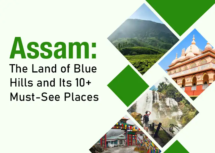 Assam: The Land of Blue Hills and Its 10+ Must-See Places