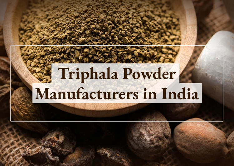 5+ Triphala Powder Manufacturers in India 2024
