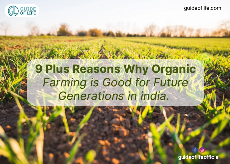 9 Plus Reasons Why Organic Farming is Good for Future Generations in India