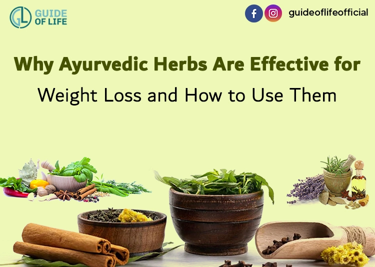 Why Ayurvedic Herbs Are Effective for Weight Loss and How to Use Them