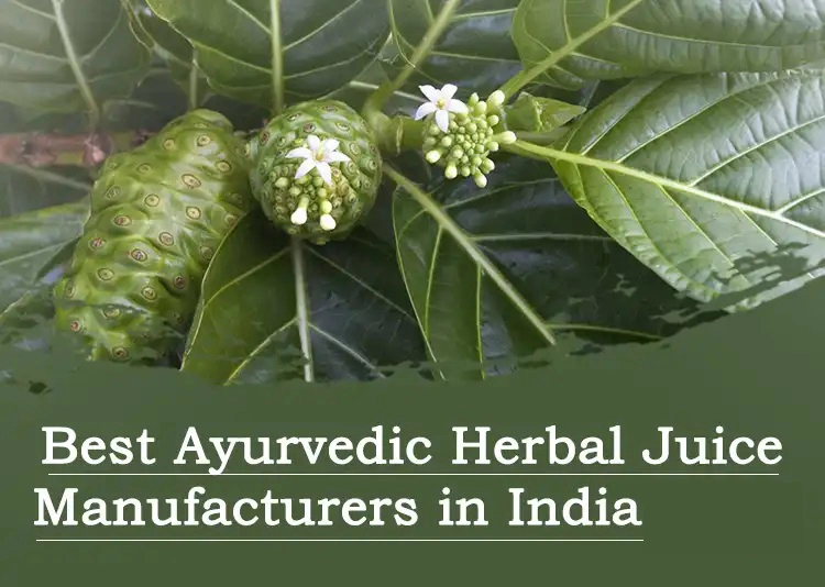 7+ Best Ayurvedic Herbal Juice Manufacturers in India 2024