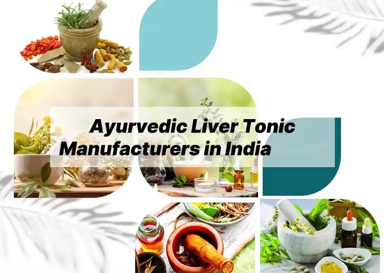 4+ Ayurvedic Liver Tonic Manufacturers in India 2024