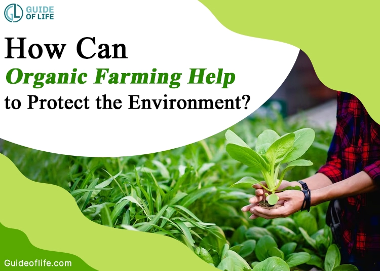 How Can Organic Farming Help to Protect the Environment?