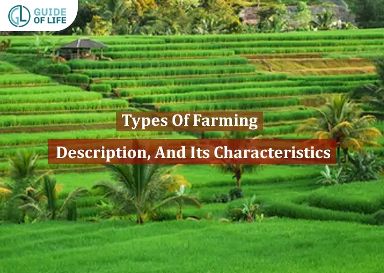 Types of Farming in India | Description and Its Characteristics