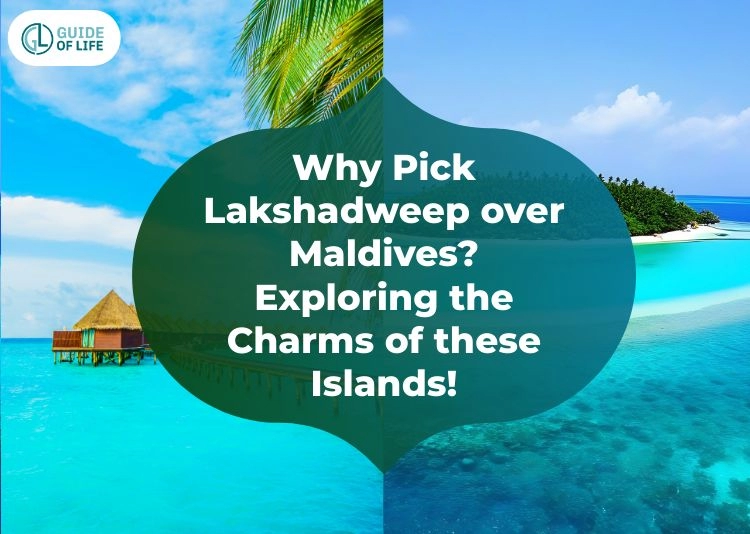 Why Pick Lakshadweep over Maldives? Exploring the Charms of these Islands!